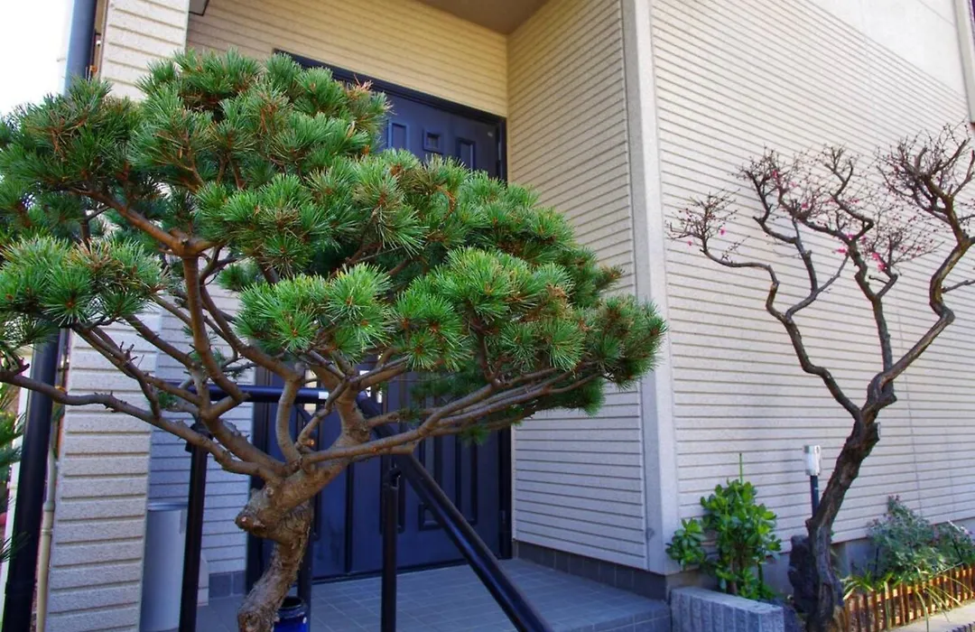 Nyoze House - Vacation Stay 84305V-1